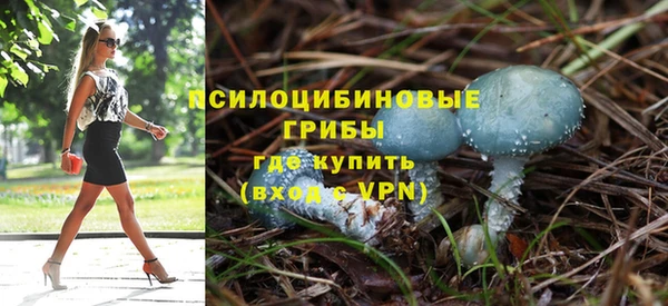 МДМА Бородино