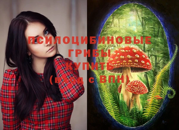 МДМА Бородино