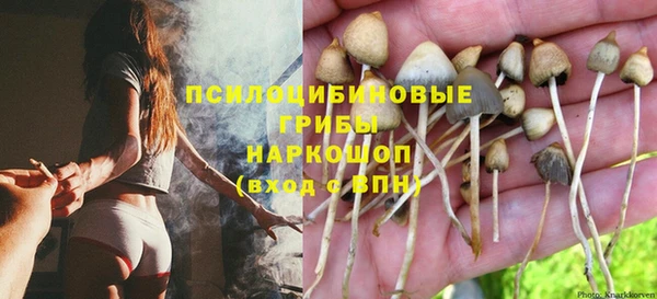 МДМА Бородино