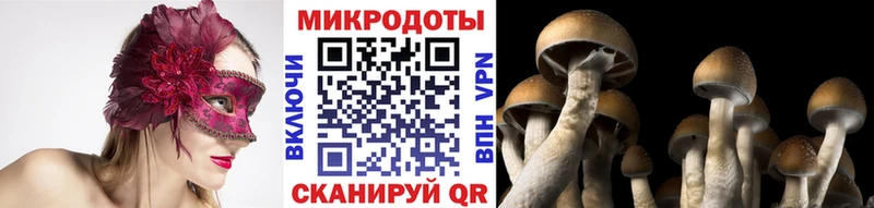 Купить закладки  Вятские Поляны  Псилоцибиновые грибы ЛСД 